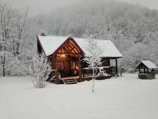 Фото Лоджи The Little Mountain Cabin г. Borlova